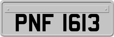 PNF1613