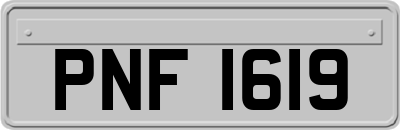 PNF1619
