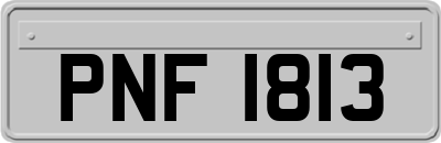 PNF1813