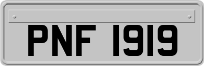 PNF1919