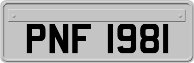 PNF1981