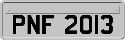PNF2013