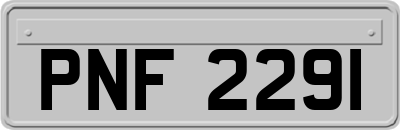 PNF2291