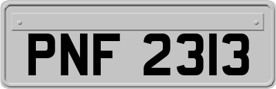 PNF2313