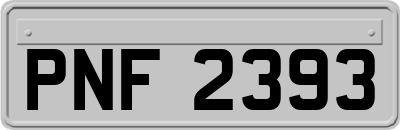 PNF2393