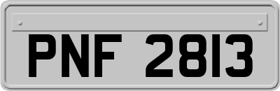 PNF2813