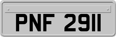 PNF2911