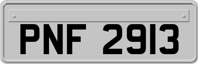 PNF2913