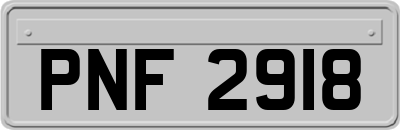 PNF2918