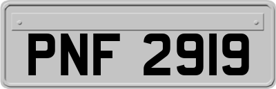 PNF2919