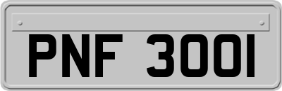 PNF3001