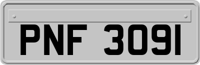 PNF3091