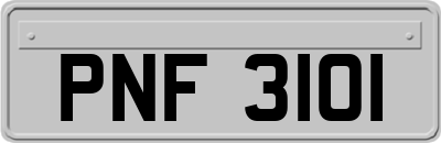 PNF3101