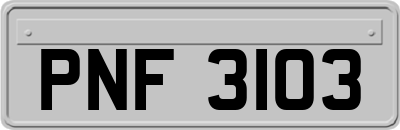 PNF3103