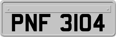 PNF3104