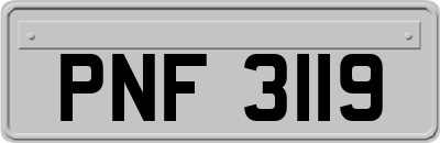 PNF3119