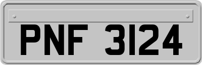 PNF3124