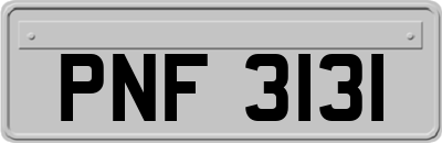 PNF3131
