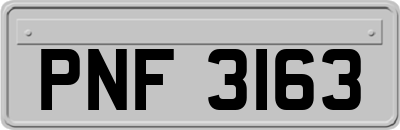 PNF3163