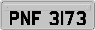 PNF3173