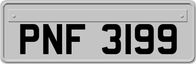 PNF3199