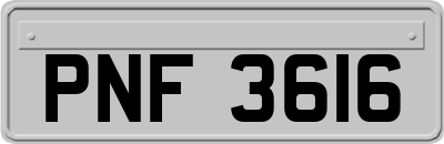 PNF3616