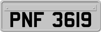 PNF3619