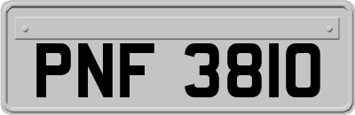 PNF3810