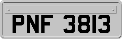 PNF3813