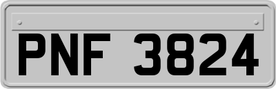 PNF3824