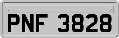 PNF3828