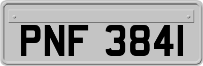PNF3841