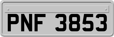 PNF3853