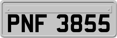 PNF3855