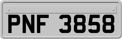 PNF3858