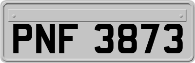 PNF3873