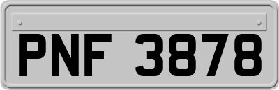PNF3878