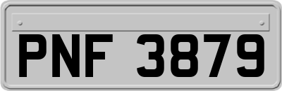 PNF3879