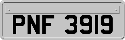 PNF3919