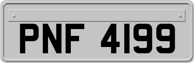 PNF4199