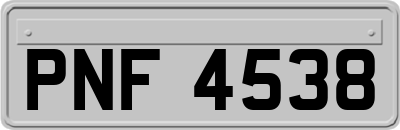 PNF4538
