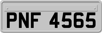 PNF4565