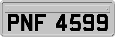 PNF4599