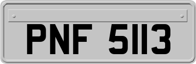 PNF5113