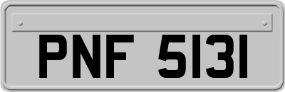 PNF5131