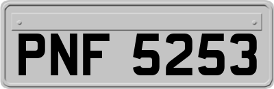 PNF5253