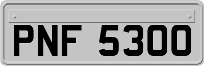PNF5300