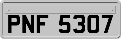 PNF5307