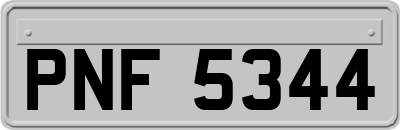 PNF5344