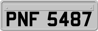 PNF5487